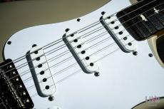 Paul Reed Smith [PRS] Silver Sky John Mayer Signature Model (Rosewood) / 2023_5