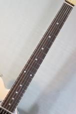 Providence pH-202RSC/SS-Shell Pink-#241069【3.65kg】_3