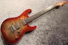 Red House 【セール】CTM Seeker S 2H 5A Flame/Mahogany/Ebony Dark Red Burst【激杢】【漆黒指板】_2