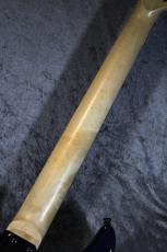 E-II SN-2/Blue Natural Fade #ES2212243【3.99kg】【美しいバールドメイプルトップ!】_9