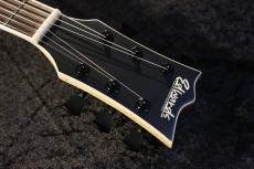 Edwards E-VIPER-1H SNAT #ED4851243 【3.18kg】_5