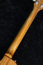 Tokai 【カタログ外限定生産モデル】【Elixir弦サービス】LS-101S-WA Gold Top #2551498【4.19kg】_8