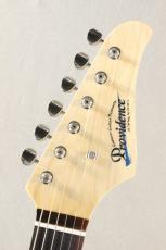 Providence pH-202RSC/SS-Black-# 241059【3.48kg】_4