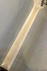 Providence pH-202RSC/SS-Black-# 241059【3.48kg】_8