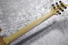 Paul Reed Smith [PRS] 【3.59kg】SE Custom 24 -Blue Matteo- #CTI H027882【分割手数料無料】_10