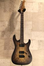 Red House 【鬼フレイムネック】CTM Seeker S / HH / 5A Birl Maple -Trans Black Burst-【3.46kg】_2