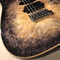 T's DST Pro-24 /5A Burl Maple / Ash 2P/ Natural to Black Burst-【3.30㎏】_6
