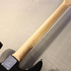 T's DST Pro-24 /5A Burl Maple / Ash 2P/ Natural to Black Burst-【3.30㎏】_10