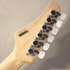 T's DST Pro-24 /5A Burl Maple / Ash 2P/ Natural to Black Burst-【3.30㎏】_11