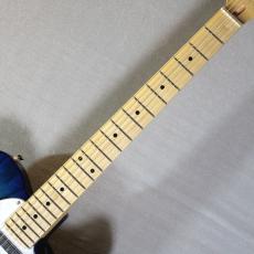 FUJIGEN NTE100MAH See-Thru Blue Burst #J250465【3.69kg】_5