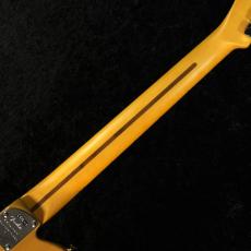 Fender 【軽量個体3.28kg】American Professional II Telecaster Butterscotch Blonde #US25067537_9