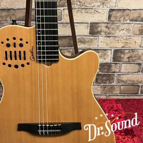 Godin ゴダン ACS SLIM Nylon Natural SG 