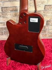 Godin ゴダン ACS SLIM Nylon Natural SG _4