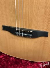 Godin ゴダン ACS SLIM Nylon Natural SG _8