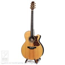 Takamine DMP50S_2