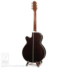 Takamine DMP50S_5