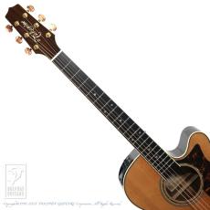 Takamine DMP50S_6