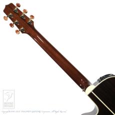 Takamine DMP50S_7