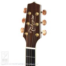 Takamine DMP50S_8