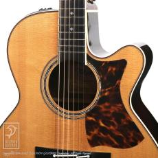 Takamine DMP50S_11