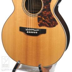 Takamine DMP50S_12