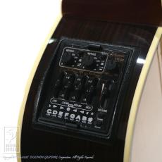 Takamine DMP50S_13
