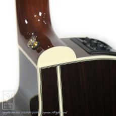 Takamine DMP50S_14