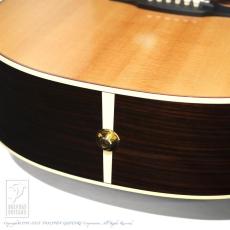 Takamine DMP50S_15