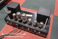 Ampeg 1970's B-15N_7