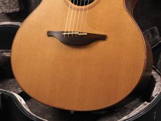 Lowden F-25C IR/RC 2019年製_8