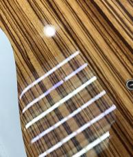 Fender Japan TL-ZEBRA_3