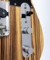 Fender Japan TL-ZEBRA_6