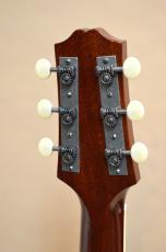 Stringphonic LeRoy Oval RSB_8