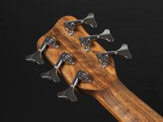 Warwick Teambuilt Pro Series Thumb Bolt-On 6st  ~Natural Trans Satin~_9