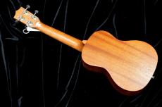 S.Yairi YU-C-03MTS_3