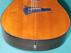 Gibson MK-81 _11