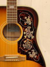 Epiphone 2022年製 FT110 Frontier ♯20053023【無金利分割OK】【送料込み】_3