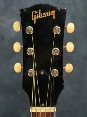 Gibson 1964 J-50_3