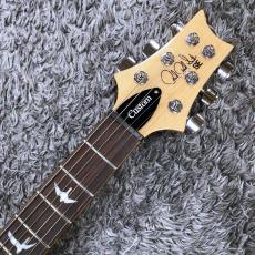 Paul Reed Smith [PRS] SE Custom 24 Burled Ash Limited Edition Lake Blue 【限定モデル】_5