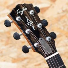 Taylor Gold Label 814e_8