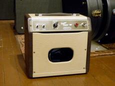 Fender '00s Champion 600_2