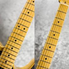 Fender American Professional Classic Telecaster MN / Butterscotch Blonde ≒3.22kg #US25094719_4