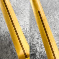 Fender American Professional Classic Telecaster MN / Butterscotch Blonde ≒3.22kg #US25094719_7