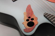 Ovation Celebrity Elite CE44 RBB Mid Depth_6