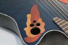 Ovation Celebrity Elite Exotic CE44P 8TQ Mid Depth_5