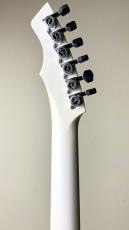 Prohaszka Guitars 【名古屋GWセール】Drooid_10