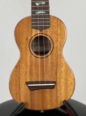 G-Labo 【名古屋GWセール】CTM G-ORDER -Avalon-DISH1 SM15F