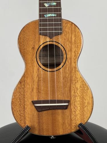 G-Labo 【名古屋GWセール】CTM G-ORDER -Avalon-DISH1 SM15F