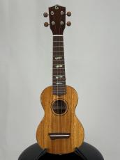 G-Labo 【名古屋GWセール】CTM G-ORDER -Avalon-DISH1 SM15F_2