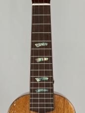 G-Labo 【名古屋GWセール】CTM G-ORDER -Avalon-DISH1 SM15F_4